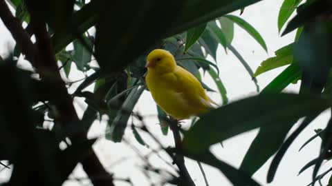 Beauties of Birds #Nature #Birds #BeautifulNature