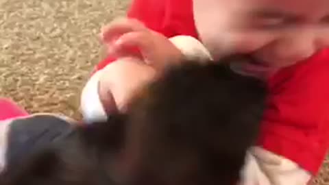 Toddler bonds with new puppy addition