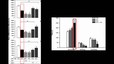 How Scientists Are Increasing Antidepressant Effectiveness To Better Treat Depression. FPS #1