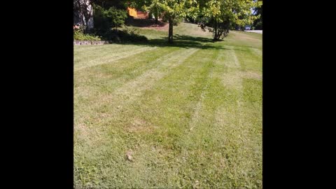 S&S LAWN CARE & Services, LLC - (937) 200-3675