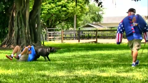 Teaching Dogs how to Guard Objects and People