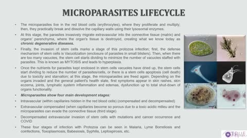 🔺COVID - CHRONIC LYME - PARASITES Part 2 | True Pathfinder