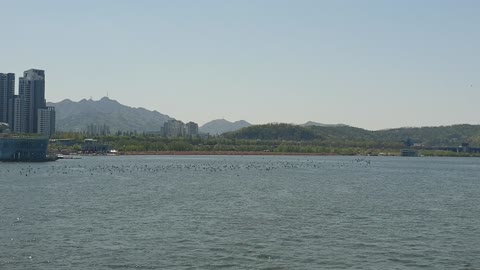 Han River Scenery (Feat. jamsu Bridge)