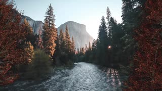 Relax Library Video 68. River running through the forest