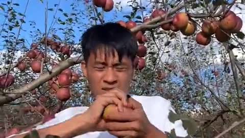 Farm Fresh Ninja Fruit Cutting Desi Satisfying Fruit Ninja Fruit Ideas | Amazing Fruits Video