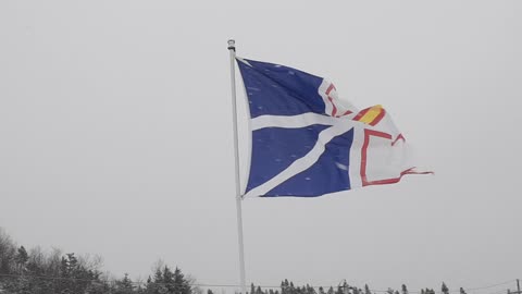 Newfoundland Flag On A Snowy Day