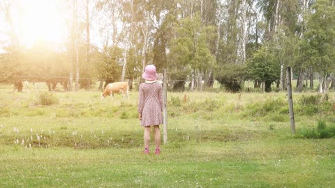 Little girl looking at cow in meadow. Calm rural farm scene