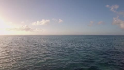 Drone flying low towards the ocean