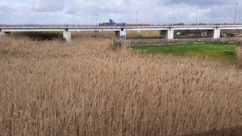 Fanstatic front view of the river and the reeds from the Roman Bridge side