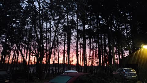 Michigan Sunrise Over the Orchard