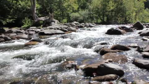 Water Rapids