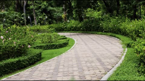 Mayo Landscaping & Paver LLC - (732) 790-8571