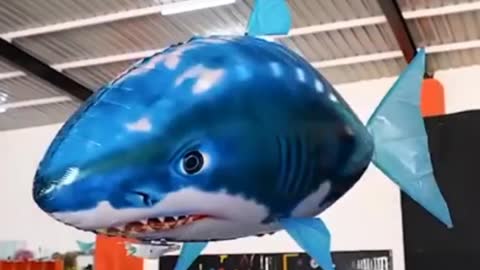 Toy flying shark