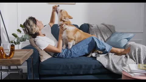 Dog is trying to convince his owner to share his tasty meal