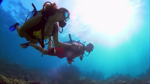 Couple Swimming Under The Sea