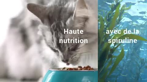 nutrition inspirée par la nature avec PURINA ONE® DualNature