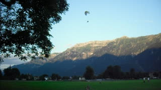 2010-08-01 Paragliders landing in a park.