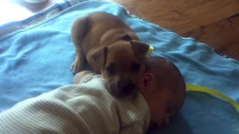 The puppy is trying not to sleep because he has to guard the baby. So cute!!!!!