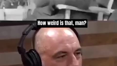 JOE ROGAN WATCHED A VIDEO OF HITLER ON DRUGS