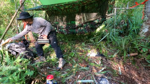 dua hari dua malam cuma makan jamur di hutan