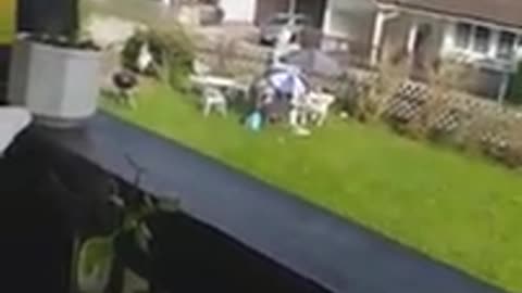 22.04.2019 Ostermontag ab 4 min - Der STalker spielt trotz Ruhetag im Garten laut Musik