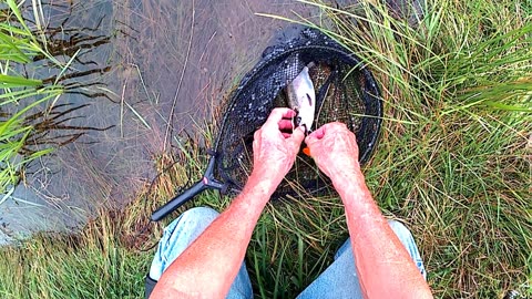 Year 3: How Big Did Our Rainbow Trout Grow