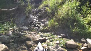 Little waterfall in michigan 2