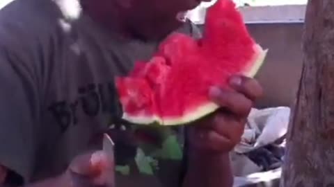 Beautiful watermelon