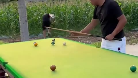 Funny Video with Pool Game