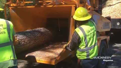 Extreme Fast Wood Chipper Machine Modern Technology - Amazing Wood Processor Big Tree Shredder Easy