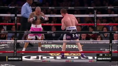 Saul Canelo Alvarez Vs Miguel Cotto Highlights (A Terrific Fight)