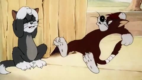 Tom and Jerry