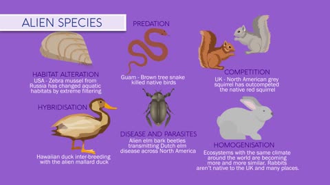 Human impacts on Biodiversity l - Global Education