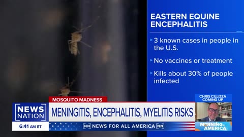 More than 200 West Nile cases reported in US this year: CDC | Morning in America