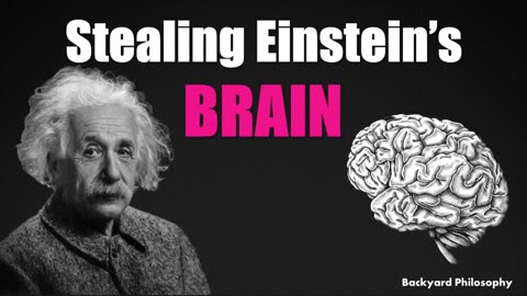 Stealing Einstein's Brain !?!?