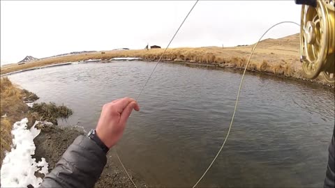 Fly Fishing The Dream Stream