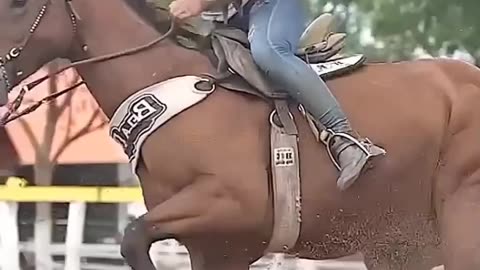 Horse Riding