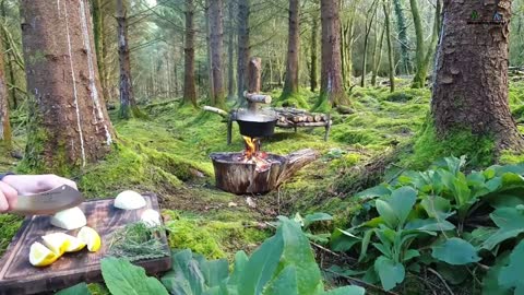 🔥Whole Chicken Prepared in the Forest🔥