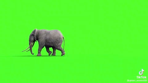 Chroma on an elephant