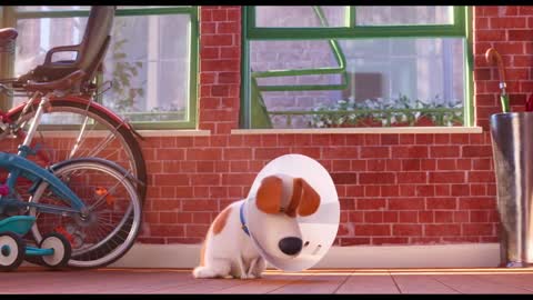 The Secret Life of Pets 2 - Max Goes to the Vet _ Fandango Family