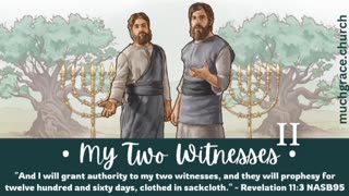 My Two Witnesses (2) : Prophecy in Patterns