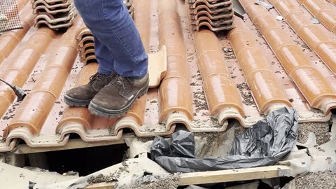 Company Removes Bats From Roof Tiles