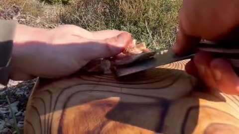 Natural Canelica mushrooms on wood stove