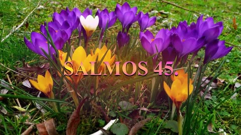 SALMOS : 44, 45, 46. Audio Dramatizado