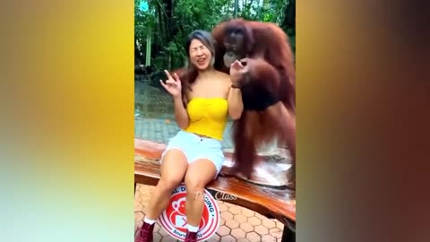 funny animal videos