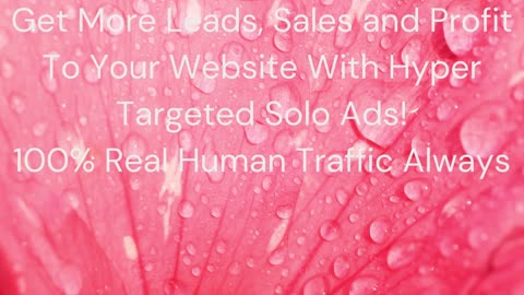 Gain Access To The Highest Quality Solo Ad Traffic Available