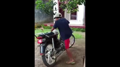 Funny Momen || Part 4