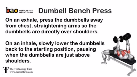 Dumbell Bench Press