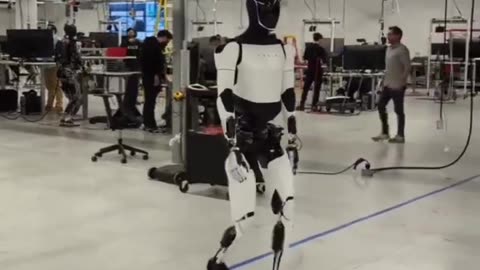 Elon Musk :Optimus strolling around the lab