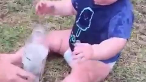 Funny Baby Videos playing # Short